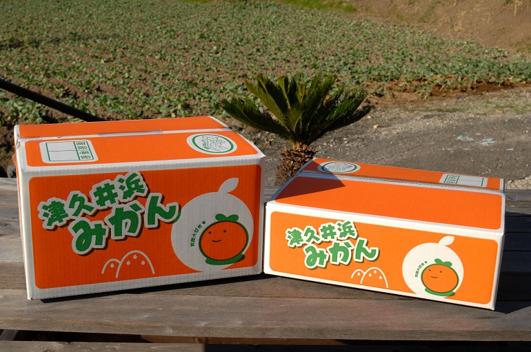 津久井浜みかん（Ｓ）